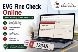 EVG Fine Check
